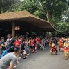 Singapore Zoo – Circle of Life