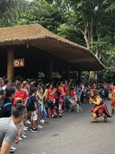 Singapore Zoo – Circle of Life