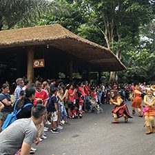 Singapore Zoo – Circle of Life